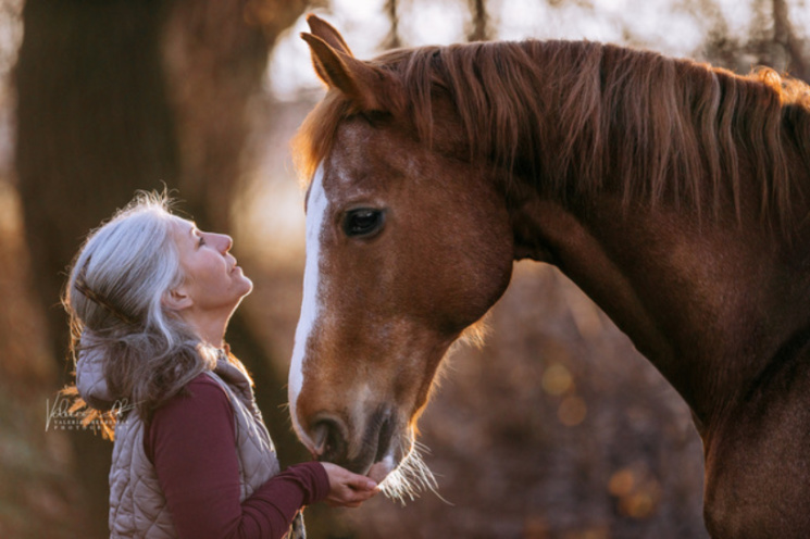 Harmonie Pferd Und Mensch